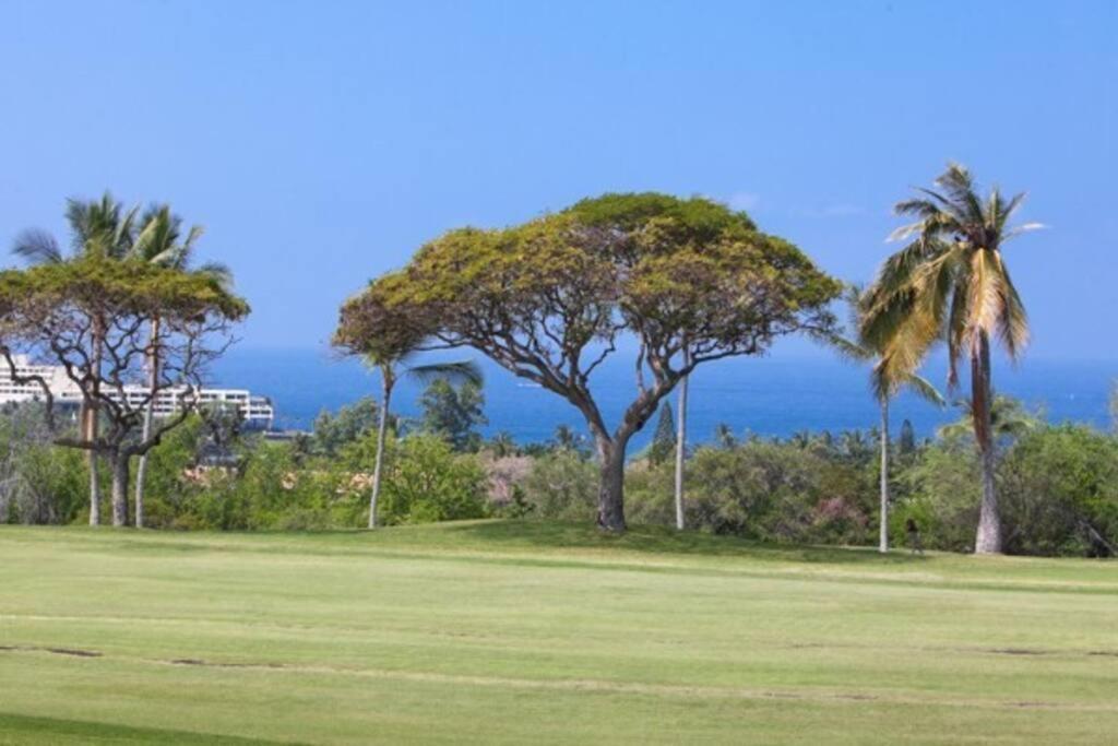 Beautiful 2/2 Condo In Kailua Kona. Ocean View! Eksteriør bilde